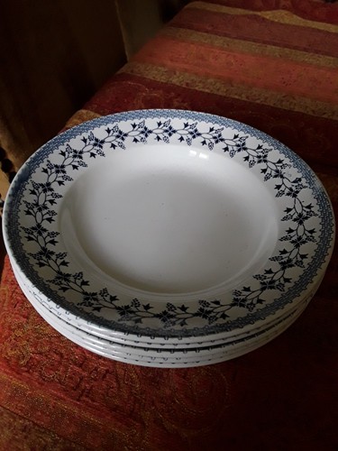 Assiettes creuses moulin des - 5,